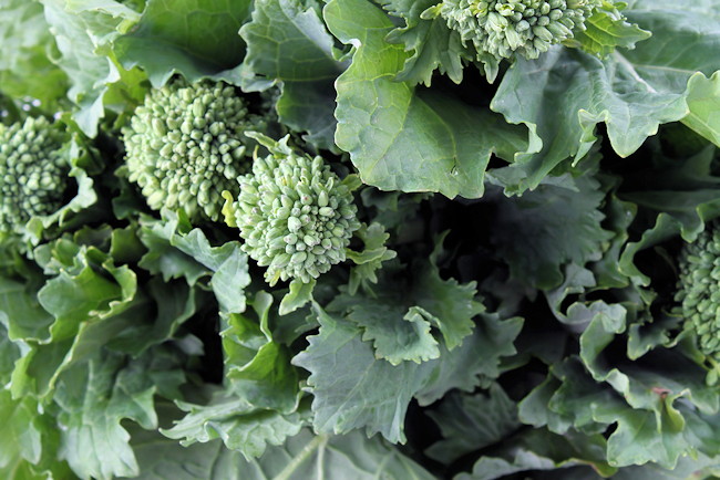broccoli rabe benefits