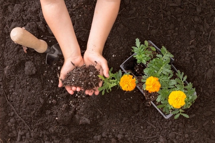 children fun in the garden while learning