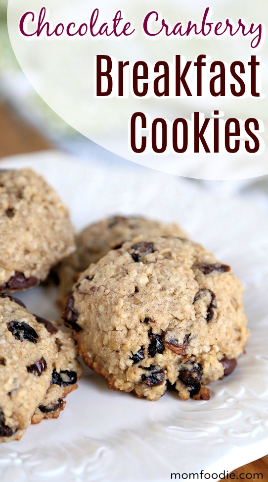 Chocolate Cranberry Breakfast Cookies