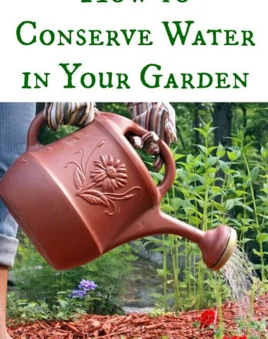 How to Conserve Water in the Garden