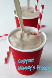 copycat Wendy's Frosty