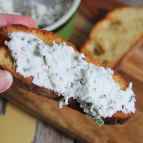 cottage cheese spread