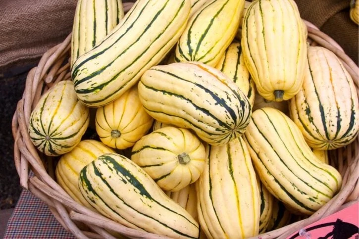 delicata squash at market.