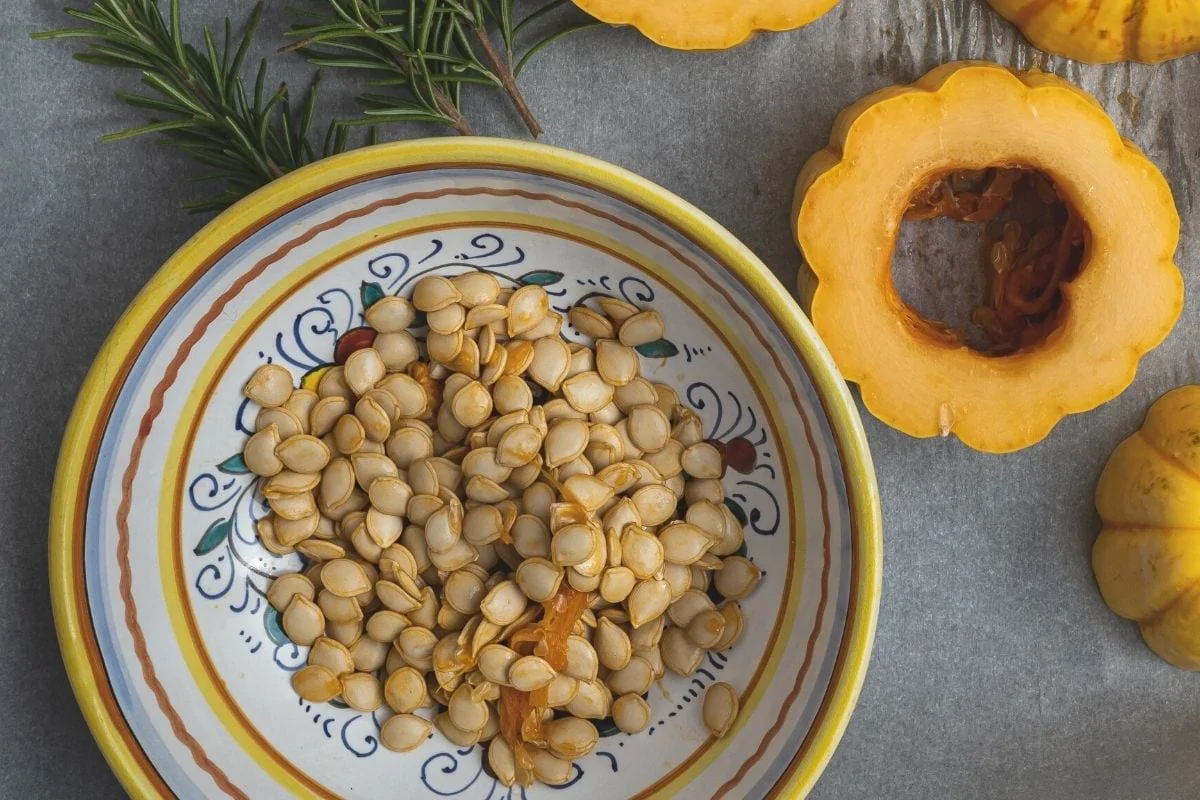 delicata squash seeds