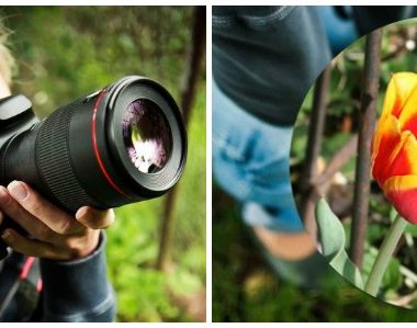 garden photography