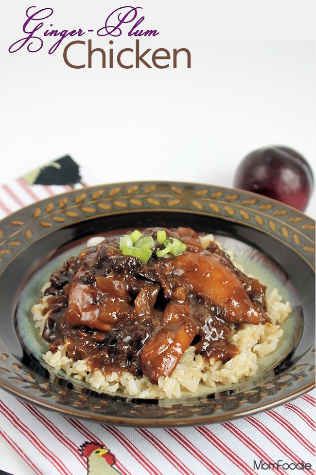 Ginger Plum Chicken Slow Cooker Recipe Made in the Wonderbag