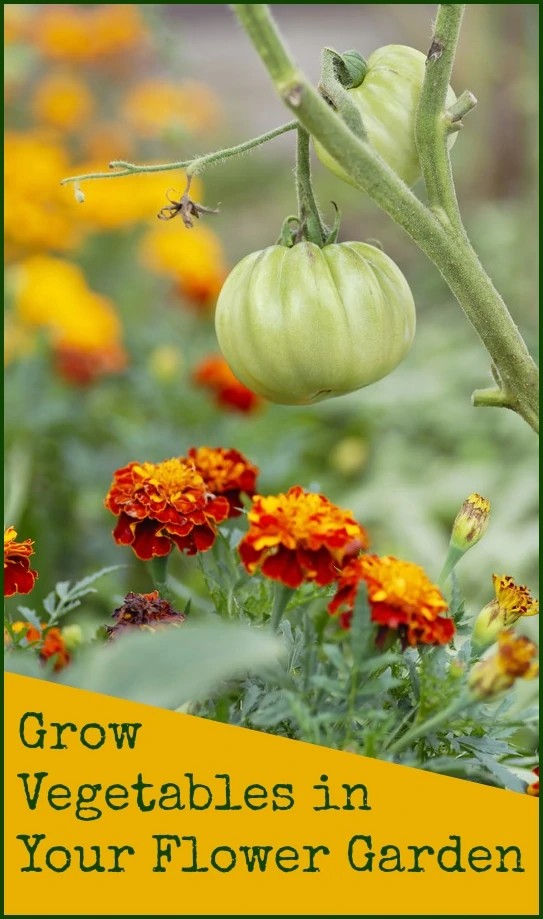 Grow vegetables in a flower garden