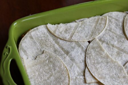 corn tortillas arranged over base of salsa
