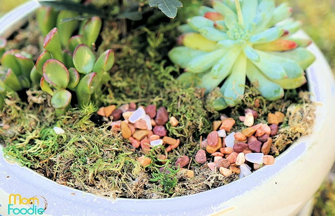 moss and rocks dinosaur planter