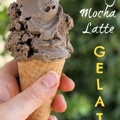 non-dairy mocha latte gelato