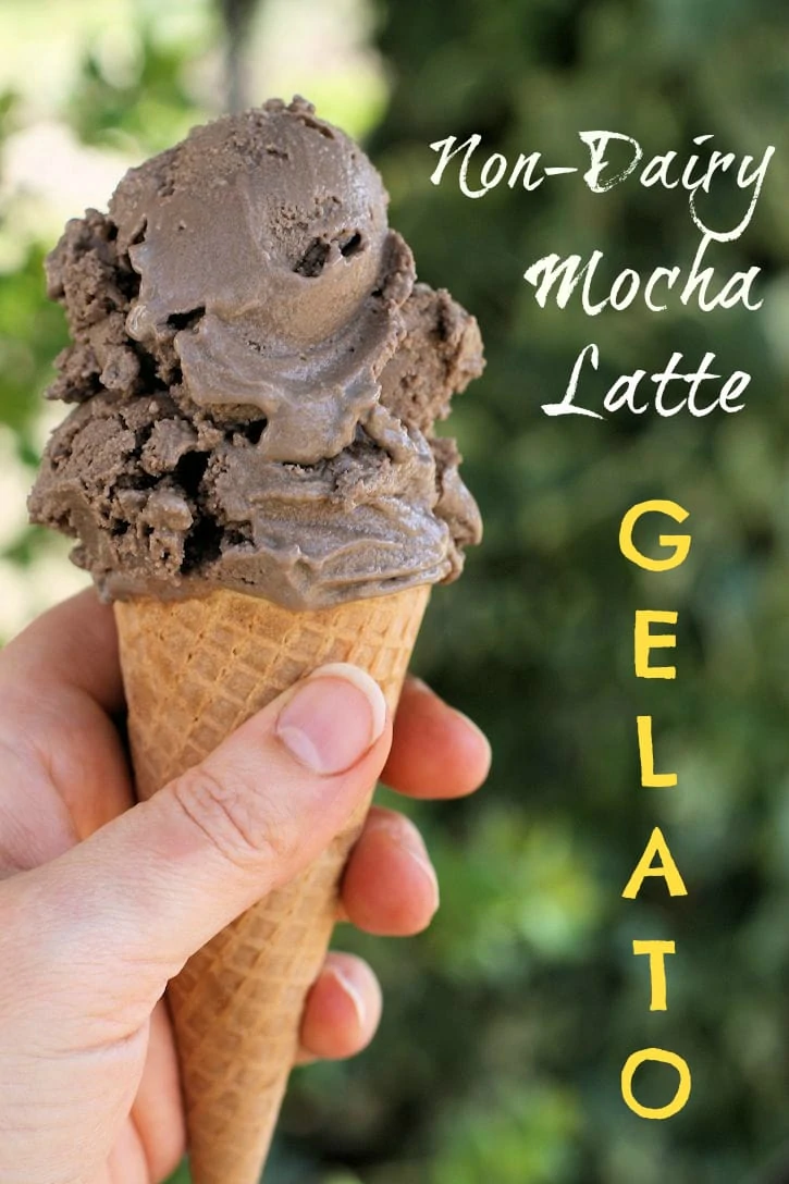 non-dairy mocha latte gelato