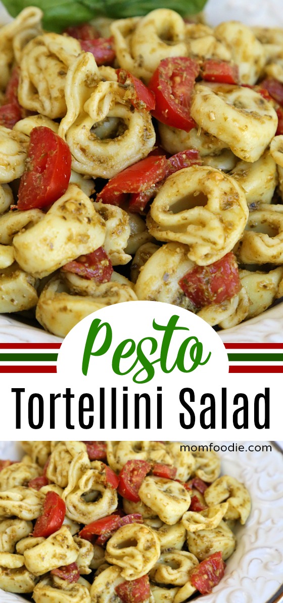 Pesto Tortellini Salad - An Easy Tortellini Pasta Salad - Mom Foodie