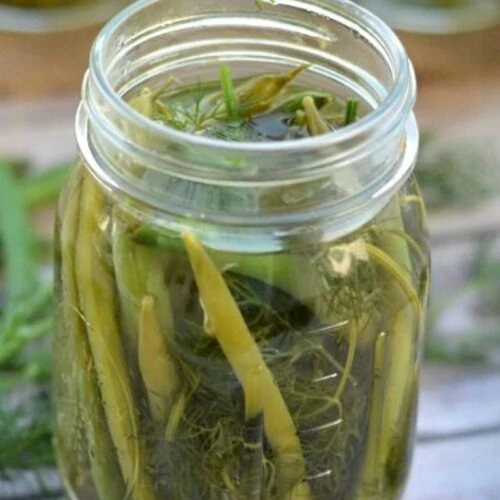 pickled green beans