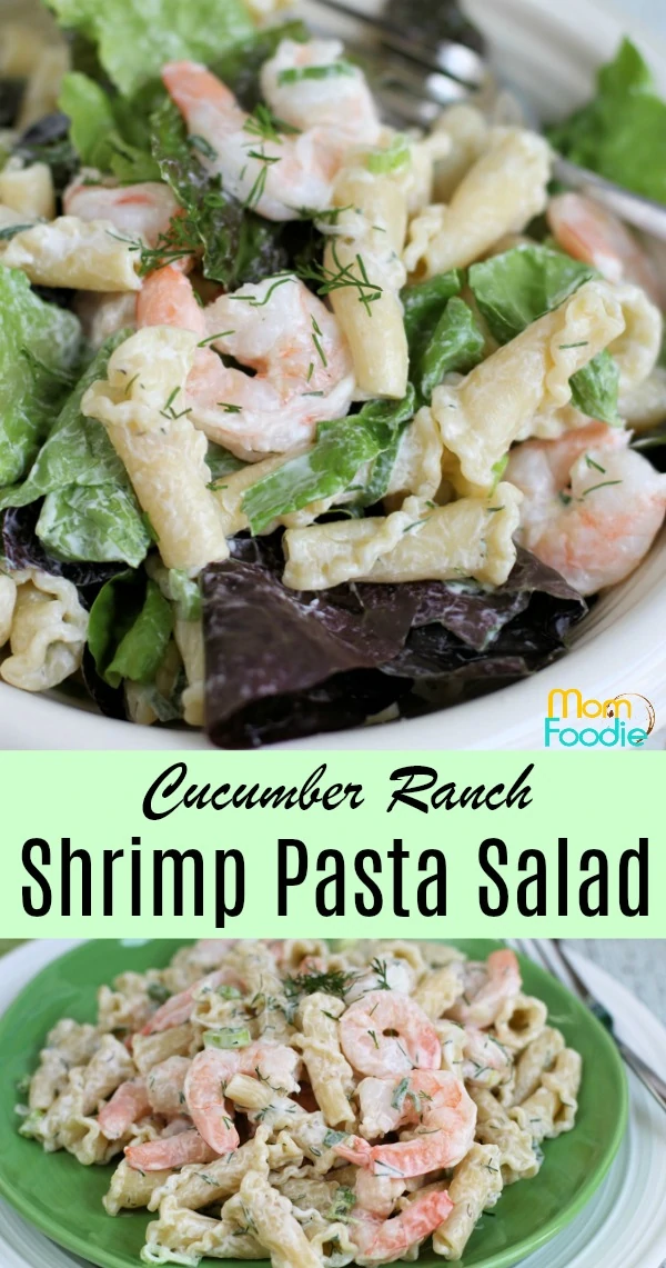 Cucumber Ranch Shrimp Pasta Salad - Mom Foodie