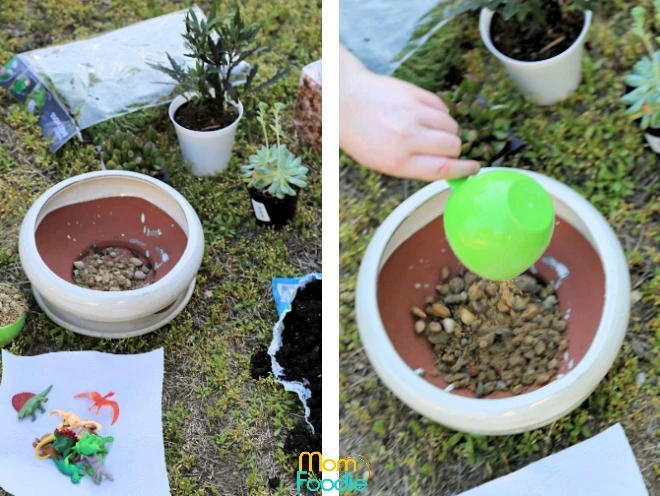 starting dinosaur planter