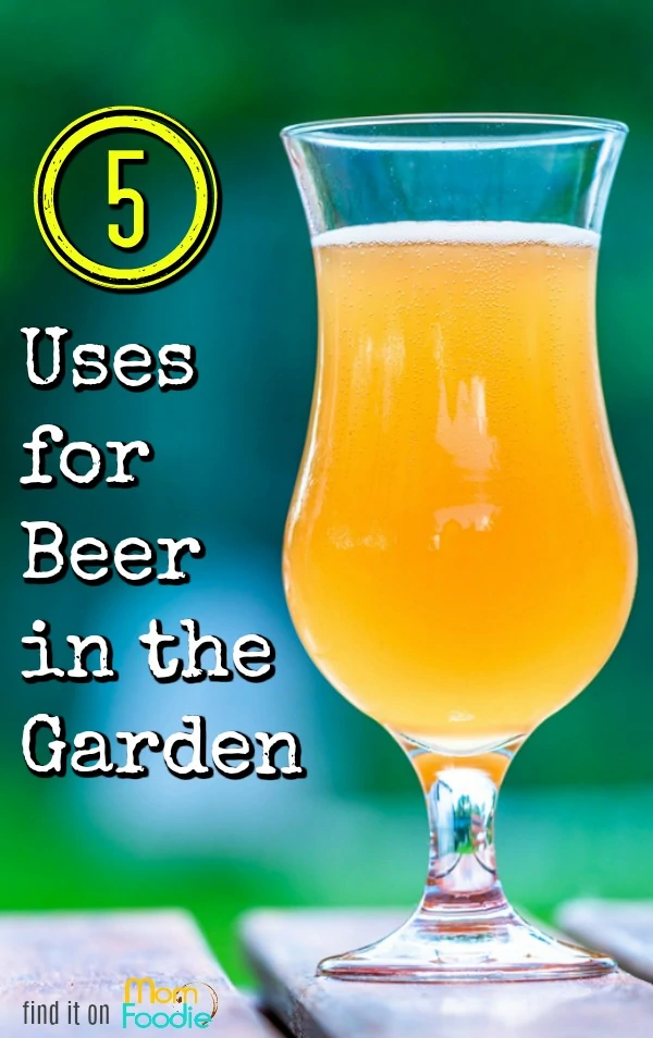 uses for beer in the garden