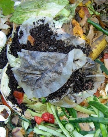 what to compost