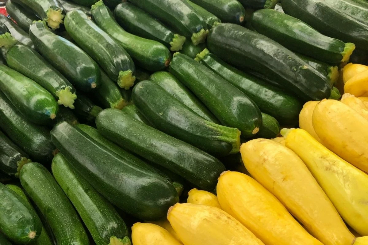 zucchini in grocery market